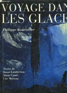 VOYAGE DANS LES GLACES. COLLECTIF