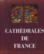 CATHEDRALE DE FRANCE - ARTS - TECHNIQUES - SOCIETE. PIERRE ANDRE LOUIS