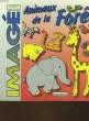 MAGE - ANIMAUX DE LA FORET - A PARTIR DE 3 ANS. COLLECTIF