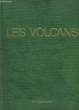 LES VOLCANS. LOREDANA ALFREDO
