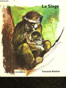 ANIMAUX DES PAYS CHAUDS - LE SINGE