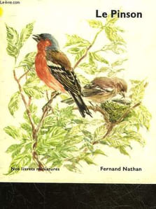 ANIMAUX DES PAYS CHAUDS - LE PINSON
