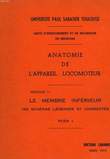 ANATOMIE DE L'APPAREIL LOCOMOTEUIR, FASCICULE II, LE MEMBRE INFERIEUR. CABARROT Dr ETIENNE