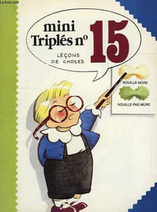 MINI TRIPLES N° 15, LECONS DE CHOSES