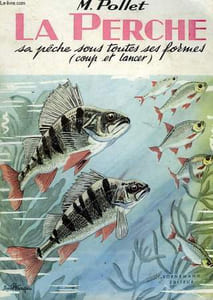 LA PERCHE, SA PECHE SOUS TOUTES SES FORMES (COUP ET LANCER)