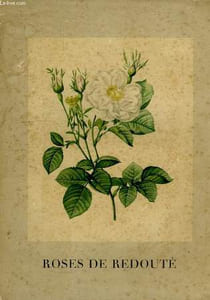 ROSES DE REDOUTE