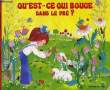 QU'EST-CE QUI BOUGE DAN SLE PRE ?. ETNA