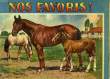 NOS FAVORIS !. COLLECTIF