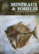 MINERAUX & FOSSILES, N° 14, FEV. 1976. COLLECTIF