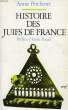 HISTOIRE DES JUIFS DE FRANCE. PERCHENET ANNIE