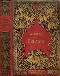 DISPARU ! HISTOIRE D'UN ENFANT PERDU