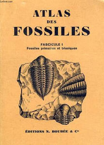 ATLAS DES FOSSILES, TOME I, FOSSILES PRIMAIRES ET TRIASIQUES