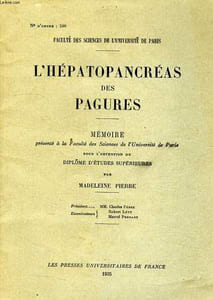 L'HEPATOPANCREAS DES PAGURES, MEMOIRE