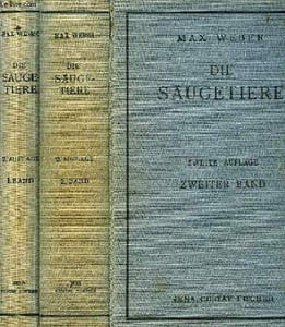 DIE SAUGETIERE, EINFUHRUNG IN DIE ANATOMIE UND SYSTEMATIK DER RECENTEN UND FOSSILEN MAMMALIA, II BAND