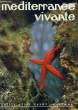 MEDITERRANEE VIVANTE. THEODOR JACQUES
