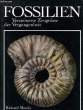 FOSSILIEN, VERSTEINERTE ZEUGNISSE DER VERGANGENHEIT. MOODY Richard
