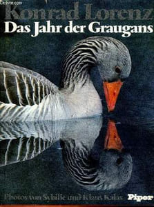 DAS JAHR DER GRAUGANS