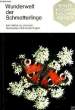 WUNDERWELT DER SCHMETTERLINGE. REIN Georg / ZECH Joachim