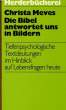 DIE BIBEL ANTWORTET UNS IN BILDERN. MEVES Christa