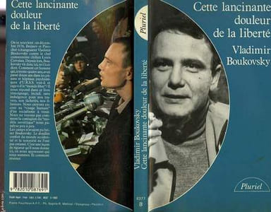 CETTE LANCINANTE DOULEUR DE LA LIBERTE