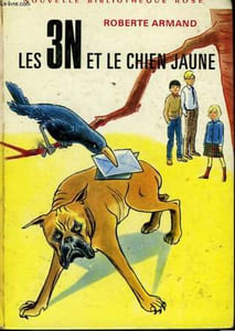 LES 3N ET LE CHIEN JAUNE