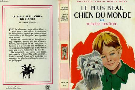 LE PLUS BEAU CHIEN DU MONDE
