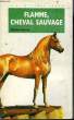 FLAMME, CHEVAL SAUVAGE. FARLEY Walter