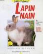 LAPIN NAIN: BIEN LE COMPRENDRE POUR BIEN LE SOIGNER. WEGLER Monika