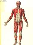 Anatomie photographique du corps humain. YOKOCHI Chihiro et ROHEN Johannes W.