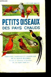 Petits oiseaux des pays chauds.