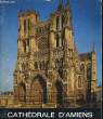 La Cathédrale d'Amiens.. BRANDICOURT Jacques et DESOBRY Jean