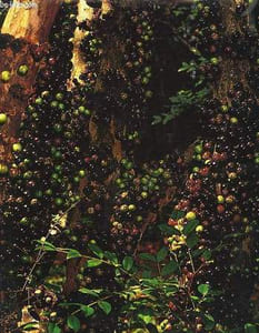 Frutas Brasil Frutas