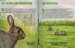 Le Petit Livre Vert N°5 du Chasseur : Le Lapin de Garenne. OUTREQUIN Raymond & COLLECTIF
