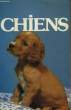 CHIENS. FREYDIGER JACQUES