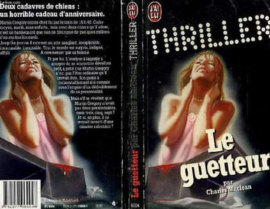 LE GUETTEUR - THE WATCHER