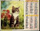 CALENDRIER - ALMANACH DES P.T.T. - CHATS. COLLECTIF