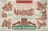 BUVARD - L'HISTOIRE DU SEL. SEL DE BAYONNE
