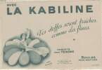 BUVARD - PAQUETS POUR TEINDRE - BOULES POUR RAVIVER. LA KABILINE