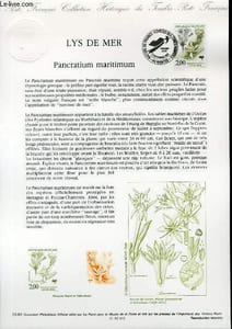 DOCUMENT PHILATELIQUE OFFICIEL N°23-92 - LYS DE MER - PANCRATIUM MARITIMUM (N°2766 YVERT ET TELLIER)