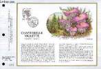 FEUILLET ARTISTIQUE PHILATELIQUE - CEF - N° 876 - CHANTERELLE VIOLETTE - GOMPHUS CLAVATUS. COLLECTIF - LAMBERT PIERRETTE