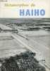 Métamorphose du Haiho.. Kin Ho