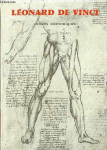 Léonard de Vinci dessins anatomiques (anatomie artistique, descriptive et fonctionnelle).
