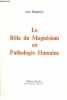 Le rôle du magnésium en pathologie humaine.. Bargheon Jean