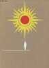 Le soleil sur la terre.. Roy Claude