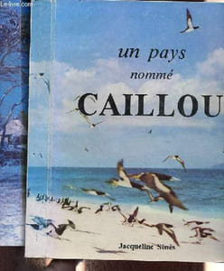 Un Pays nommé caillou (tome 1) + La Patache (tome 2) - 2 volumes..