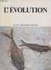 L'évolution - Collection bibliothèque pour la science.. Collectif