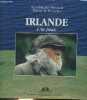 "Irlande l'île fatale - Collection "" Espaces "".". Bertrand Jean-Michel & de Bruycker Daniel