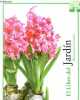 El Libro del Jardin - Plantas para el exterior - Coleccion las cosas de casa n°6.. Manzanera Laura & Vaquero Felisa & Echevarria L.