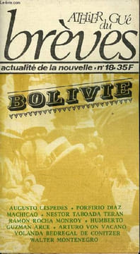 Atelier gué du brèves, actualité de la nouvelle n°18 - Bolivie - 4000 mètres d'angoisse, d'espérance et de liberté par Martine Couderc - le puits, ...