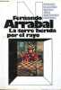La torre herida por el rayo - Premio Eugenio Nadal 1982 - Coleccion Ancora y Delfin n°570.. Arrabal Fernando